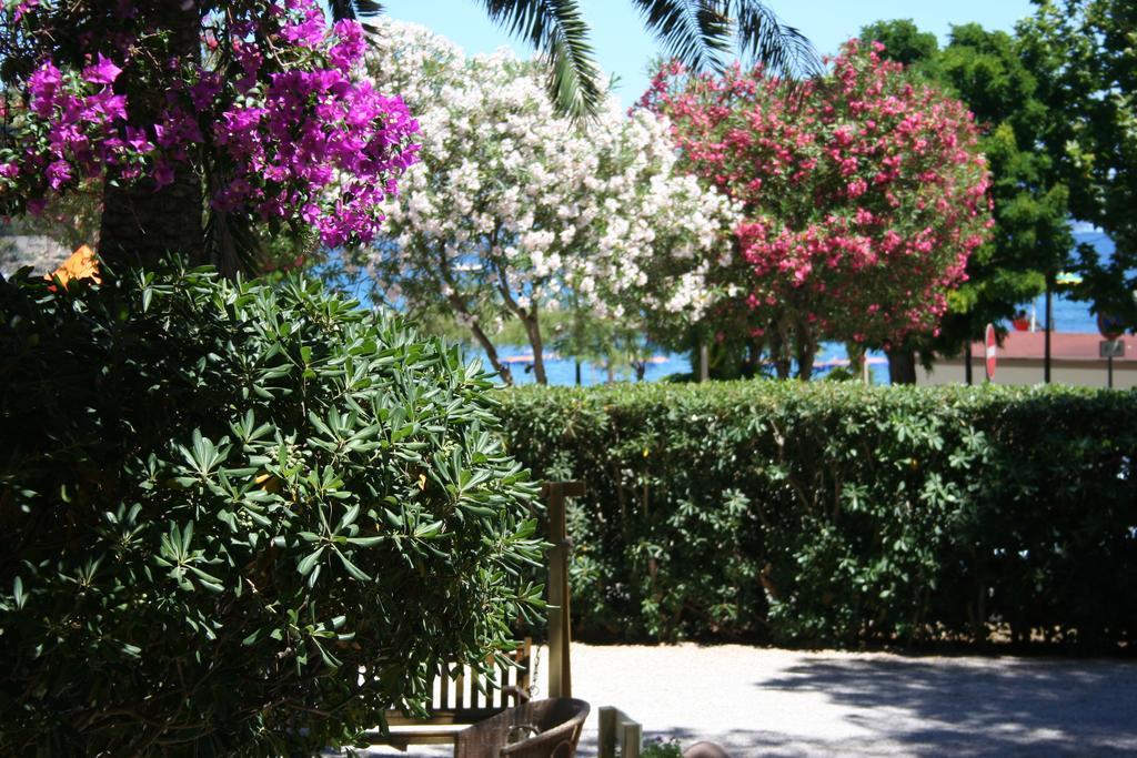 Hotel Maristella Cavo Exterior foto